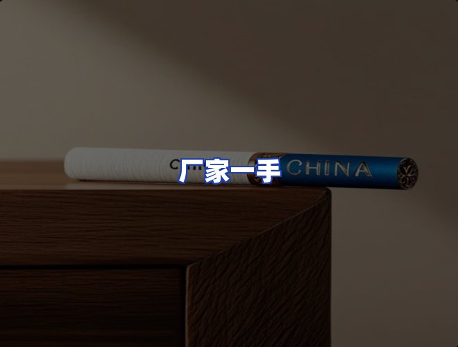专业团队